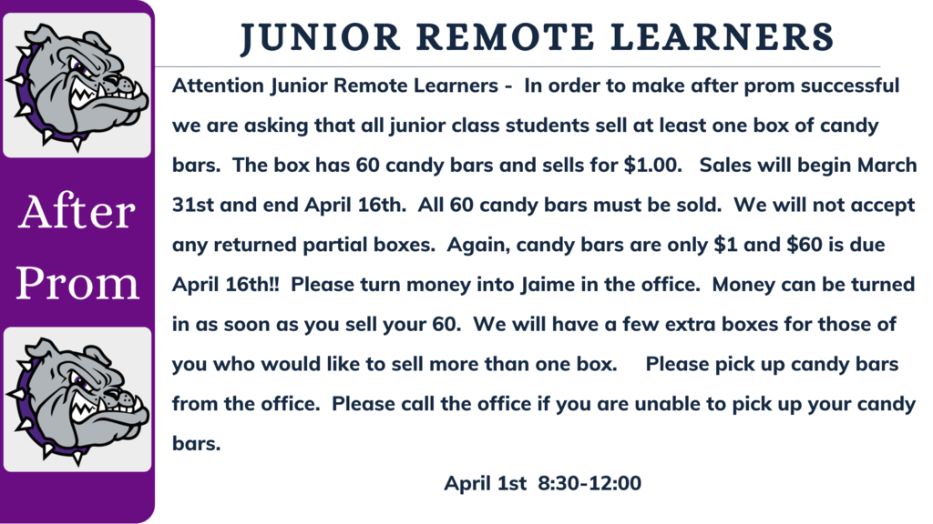 Junior Remote Learners